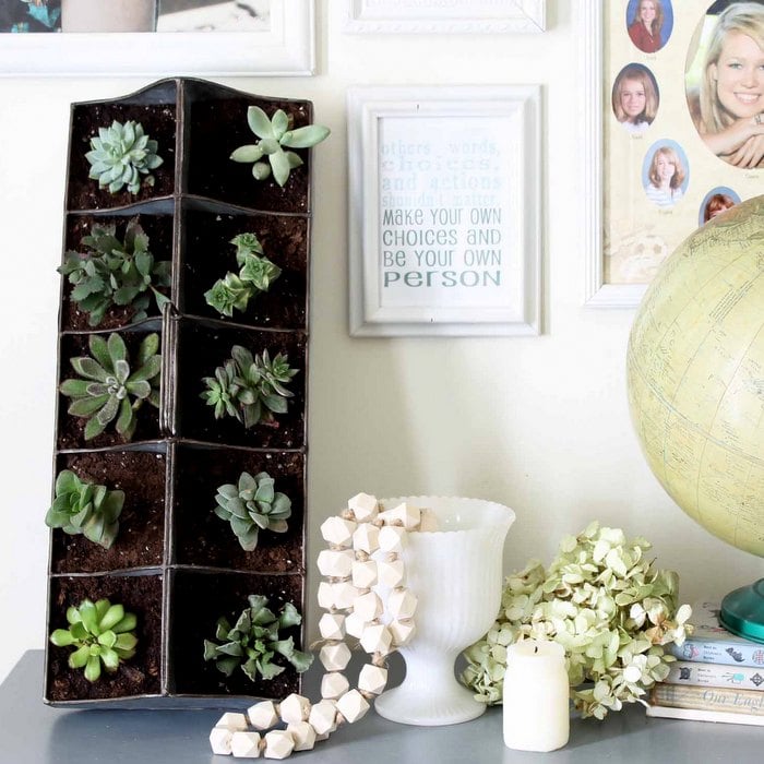 vignette of succulent garden, gallery wall, globe and wooden beads coming out of a white vase