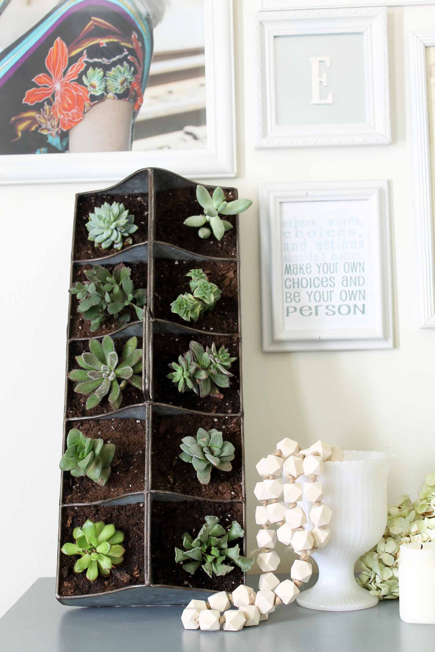 succulent garden propped up on a white wall with framed art