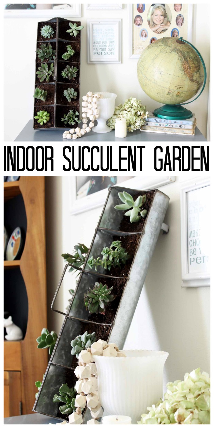 vertical succulent garden with text overlay