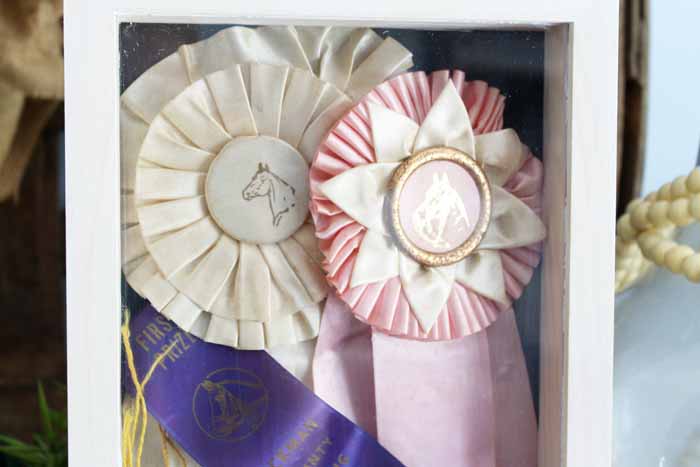 Ribbon groupings in shadow box