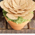 Pinterest Hidden Image