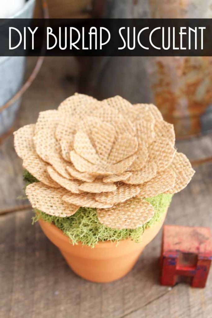 A close up of a burlap flower pot with moss