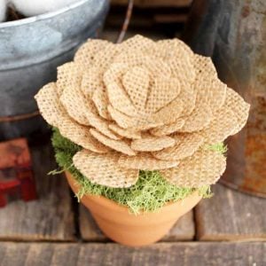 close up shot of a burlap flower in a small pot on a weathered wood backdrop