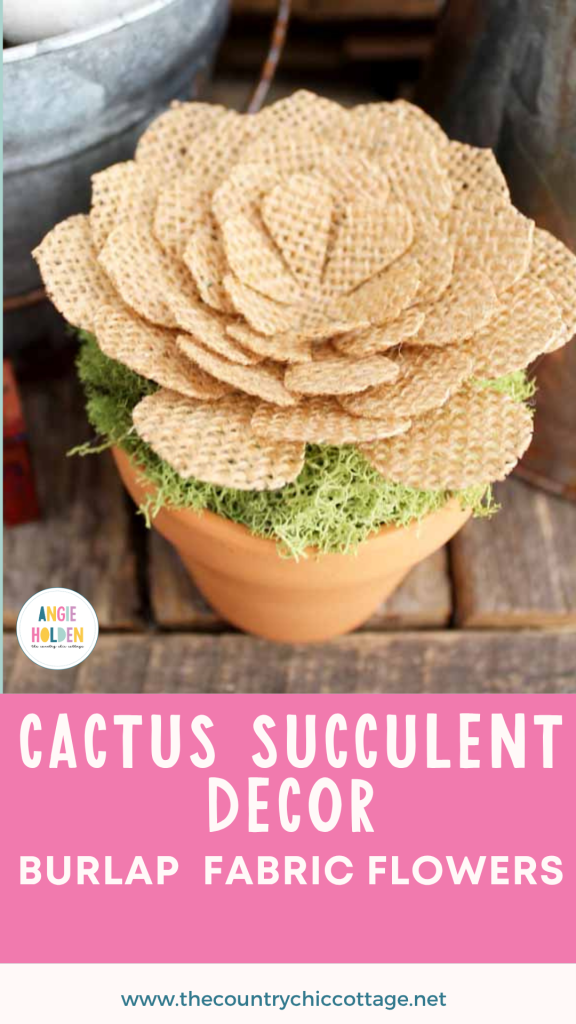 burlap succulent decor