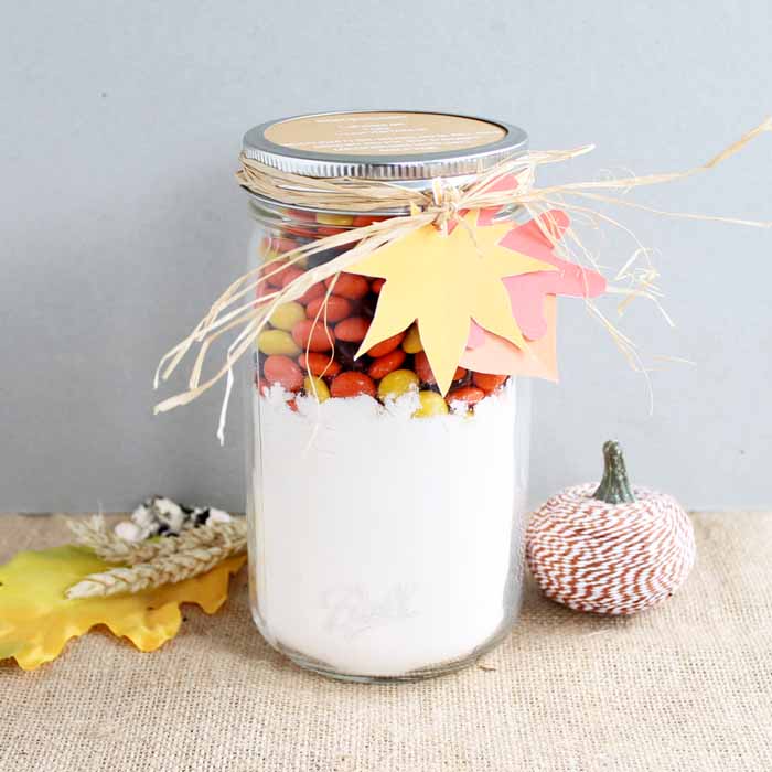 These Mason Jar Cookies are a perfect gift that's easy to toss together!