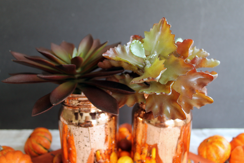 metallic mason jars with succulents in front of gray backdrop