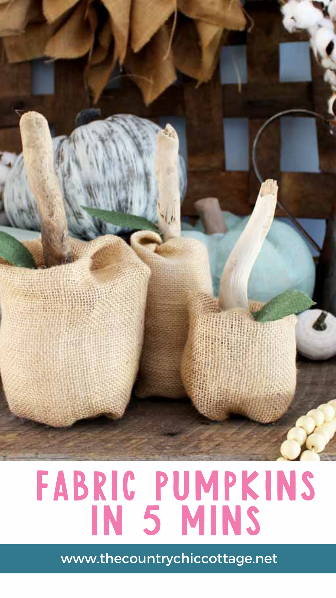 Pinterest Hidden Image