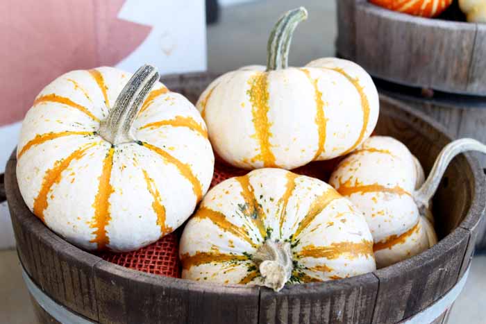 wooden bowl of orange and white striped pumpkins