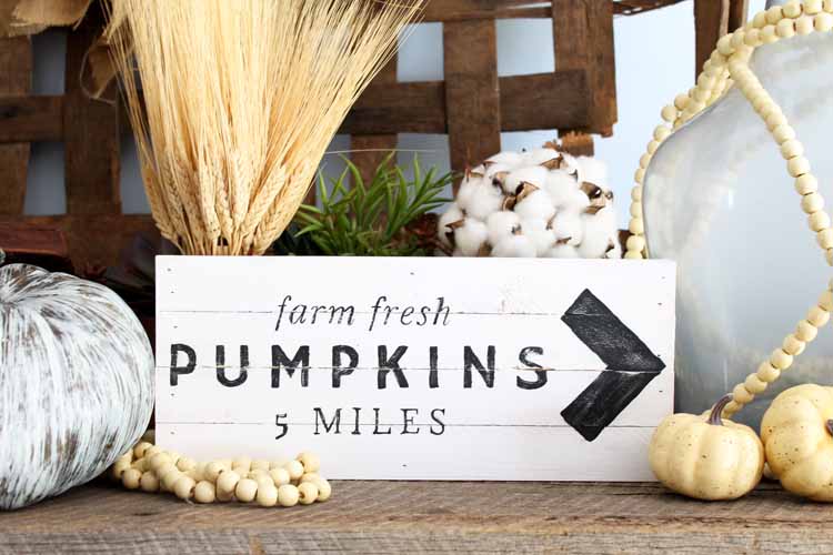 fall pumpkin patch sign