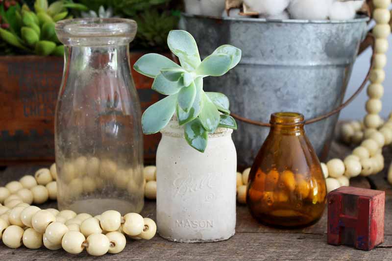 concrete mason jar planter with a succulent