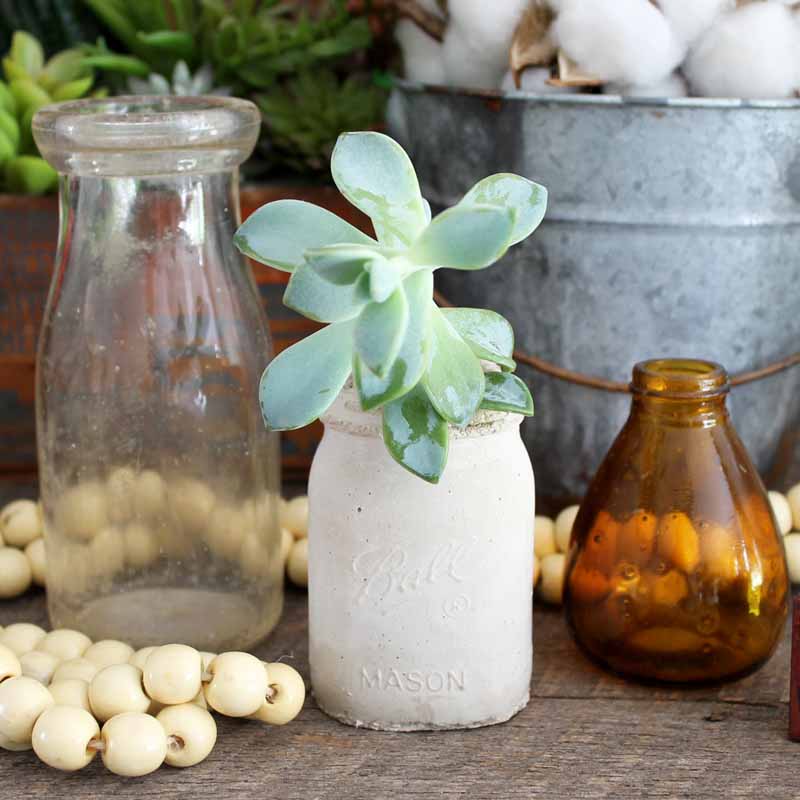 DIY Concrete Planters