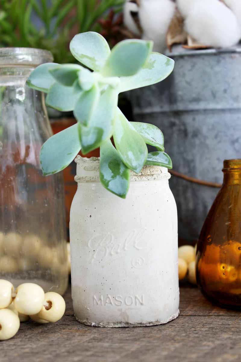 close up of details on a planter shaped like a mason jar