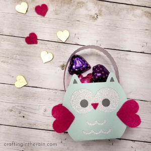 Cricut Owl Valentine Basket Tutorial by Crafting in the Rain