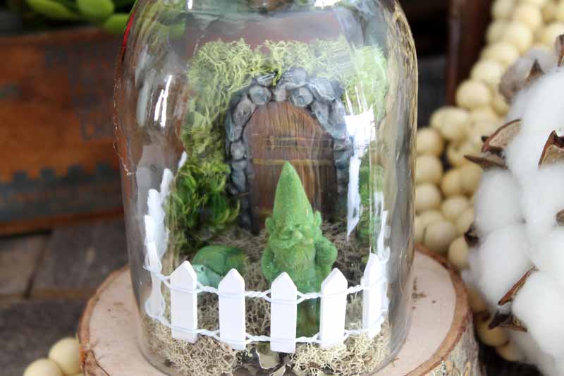 glass jar with a fairy garden inside