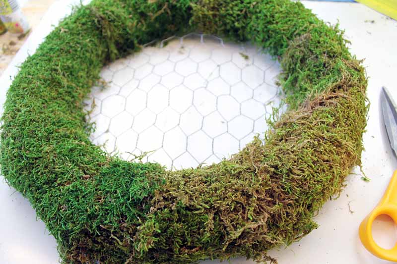 adding moss to a wreath