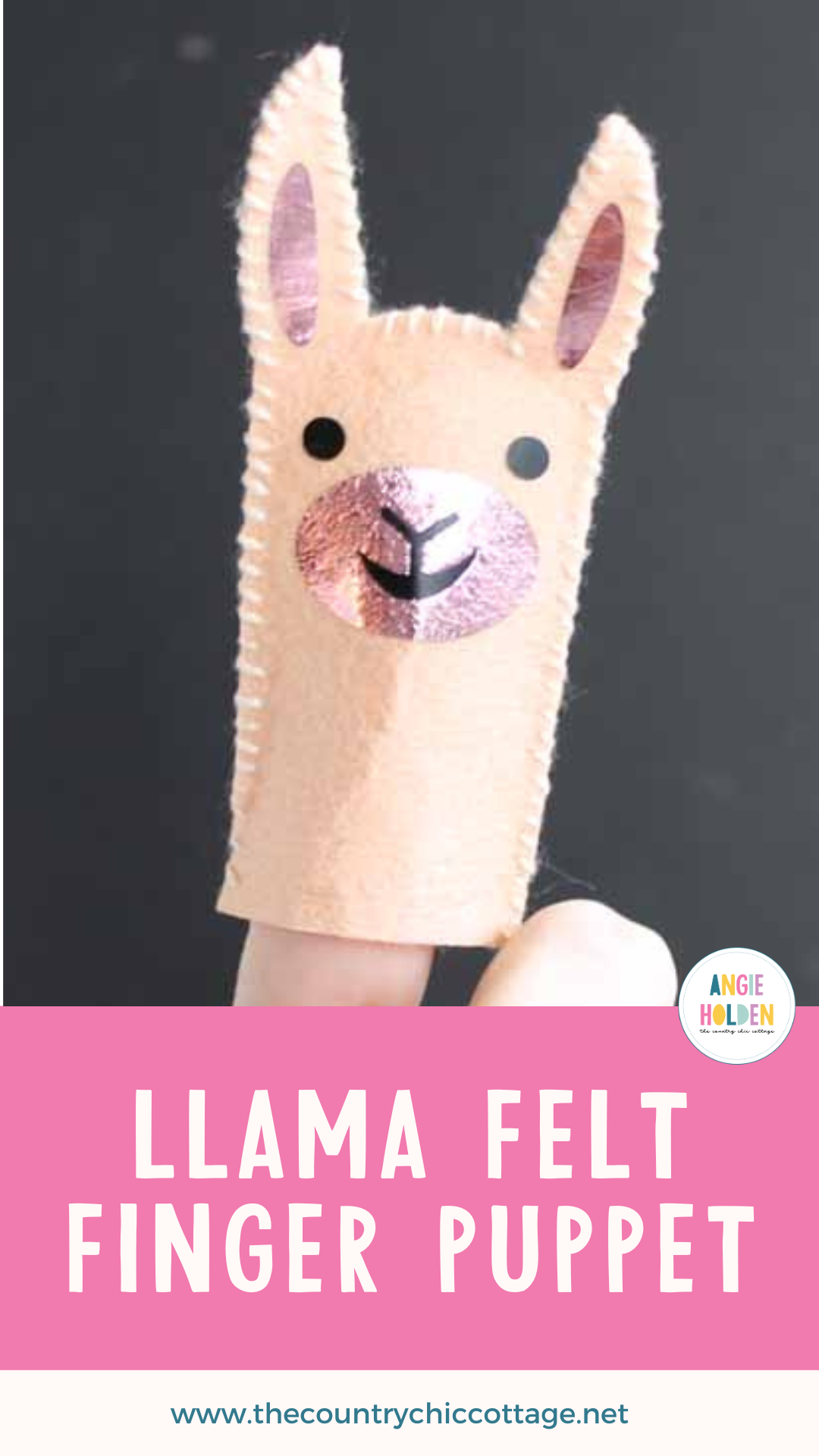 Pinterest Hidden Image