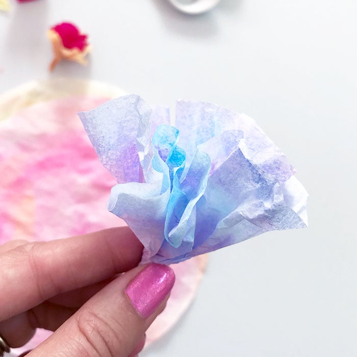 A single layer coffee filter flower painted with blue and purple watercolor.