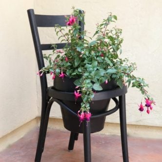 clay pot chair planter