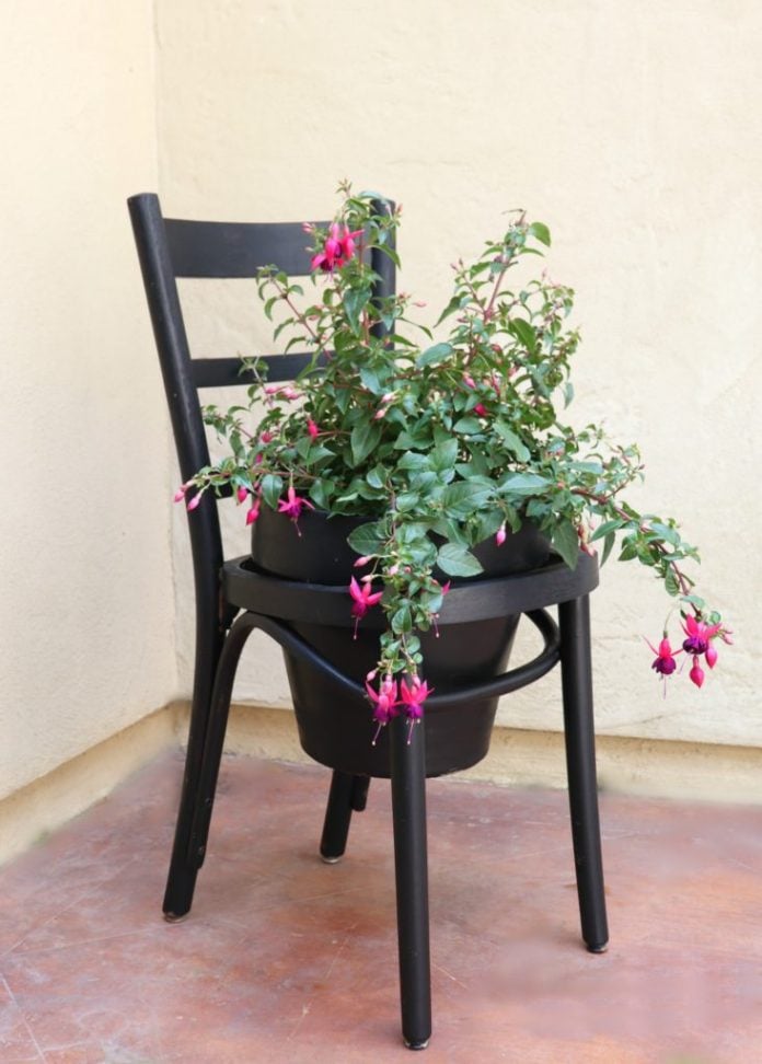 clay pot chair planter