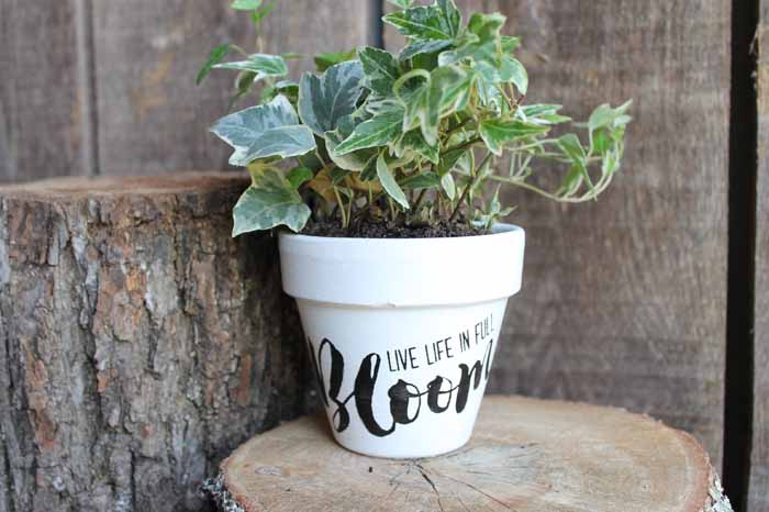 Flower pot painting made easy with Chalk Couture! It has never been easier to decorate your flower pots for spring and summer! These make great gifts for Mother's Day and more!
