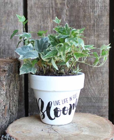 Flower pot painting made easy with Chalk Couture! It has never been easier to decorate your flower pots for spring and summer! These make great gifts for Mother's Day and more!