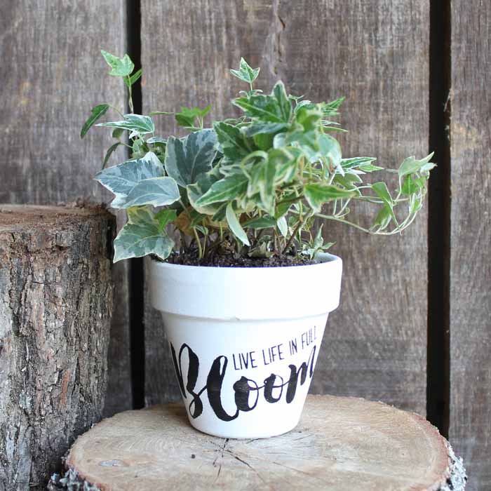 Flower pot painting made easy with Chalk Couture! It has never been easier to decorate your flower pots for spring and summer! These make great gifts for Mother's Day and more!