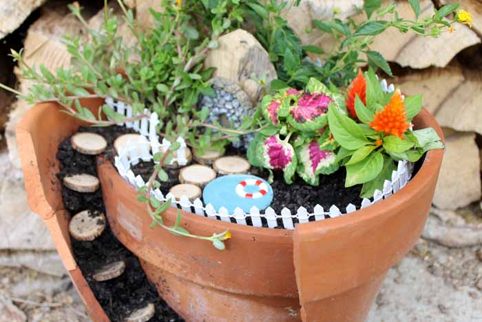 A plant in a pot turned into a fairy garden with a pool