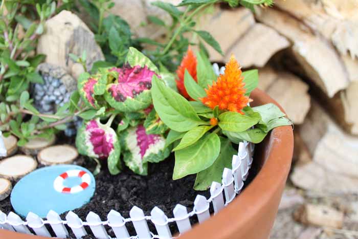 A close up of a flower pot turned into a fairy garden