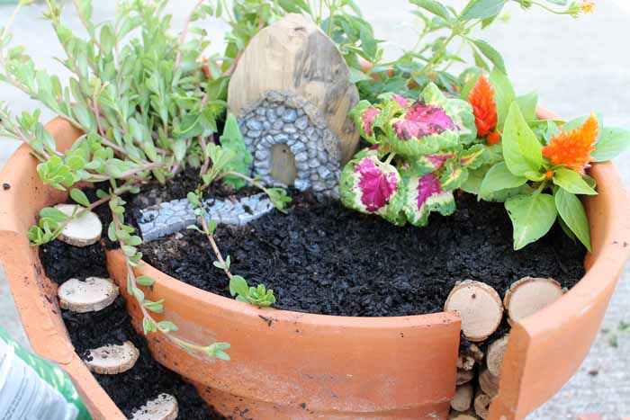 adding flowers and a fairy garden door