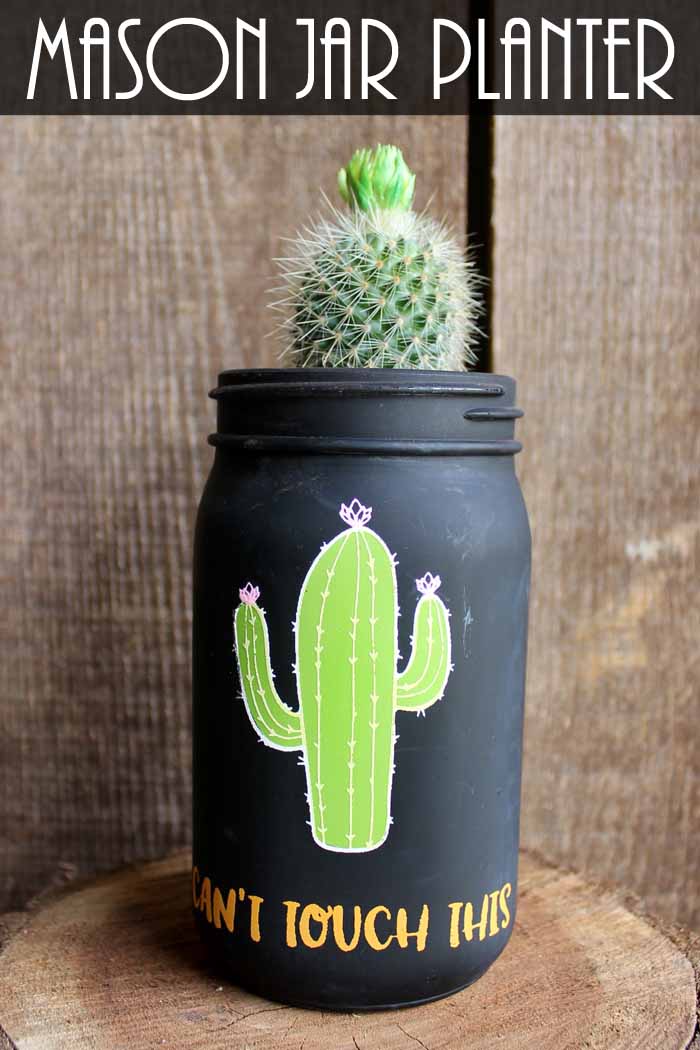 mason jar planter for a cactus