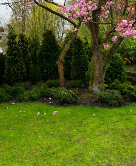 Spring Lawn Care: The tips and tricks you need for the perfect yard this summer!