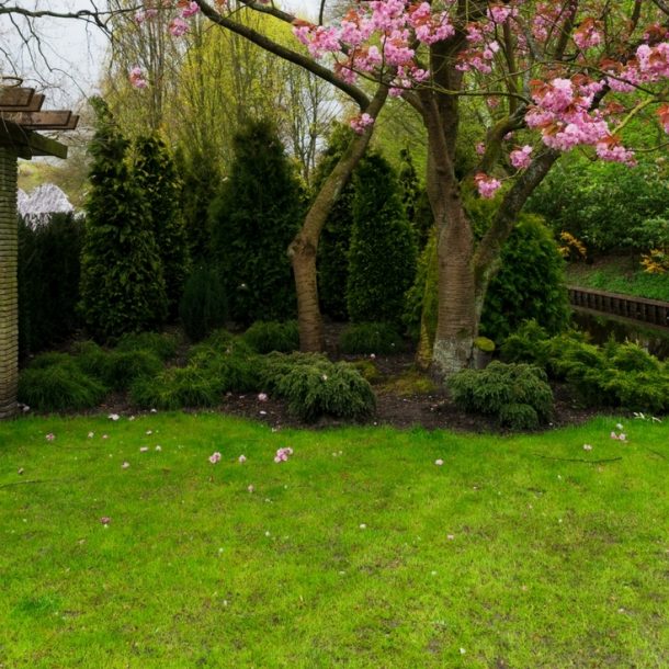 Fall Lawn Care: Everything You Need to Know - The Country Chic Cottage