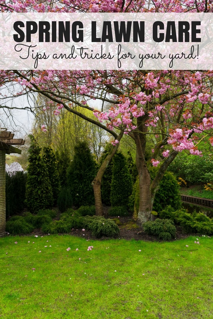 Spring Lawn Care: The tips and tricks you need for the perfect yard this summer!