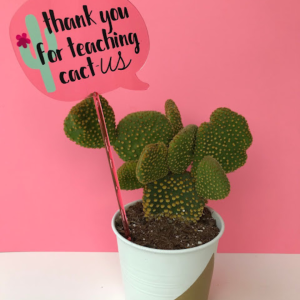DIY Cactus Teacher Gift by Not So Cli-shea