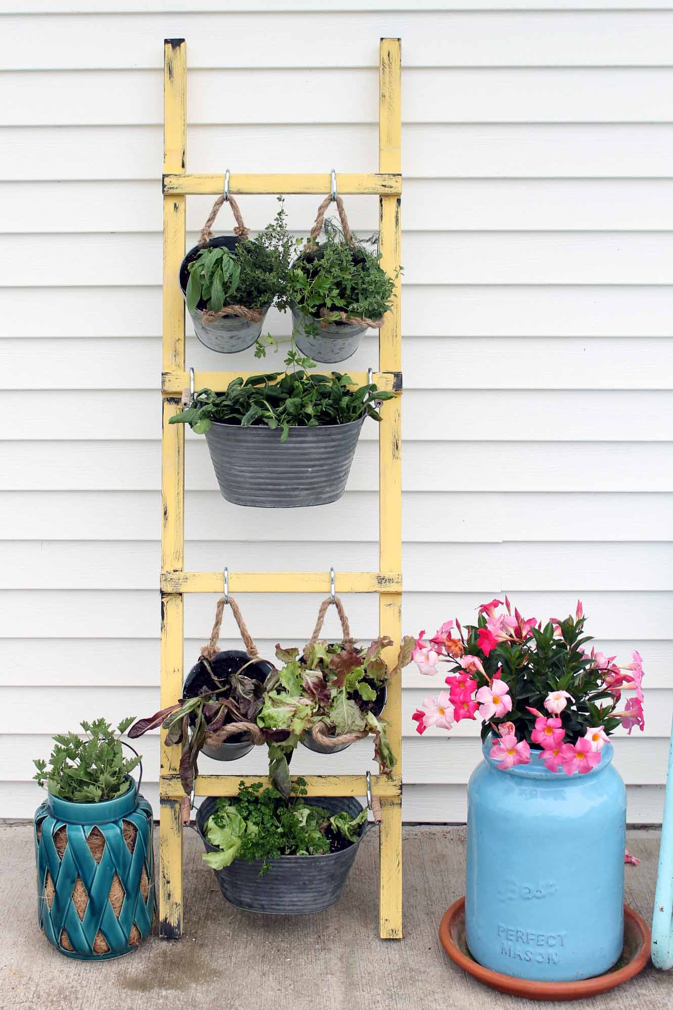 vertical garden leaning on a house