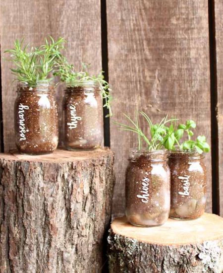 mason jar garden