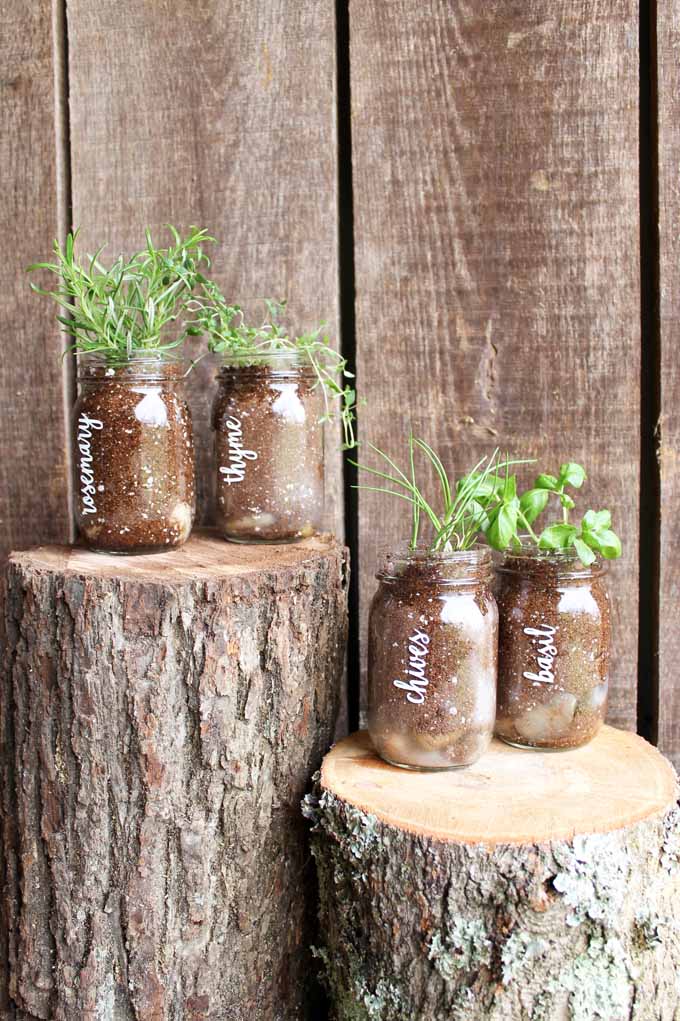 vinyl words on jars with herbs planted in them