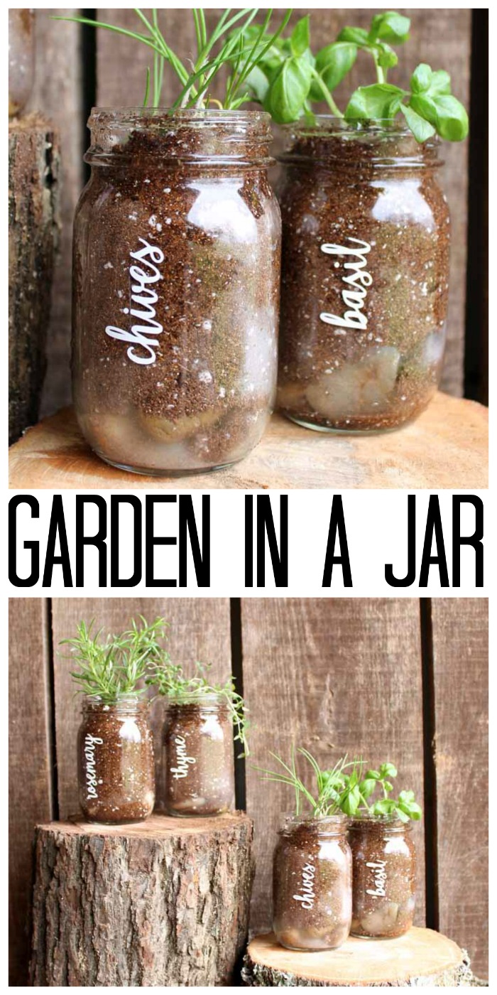 garden in a jar