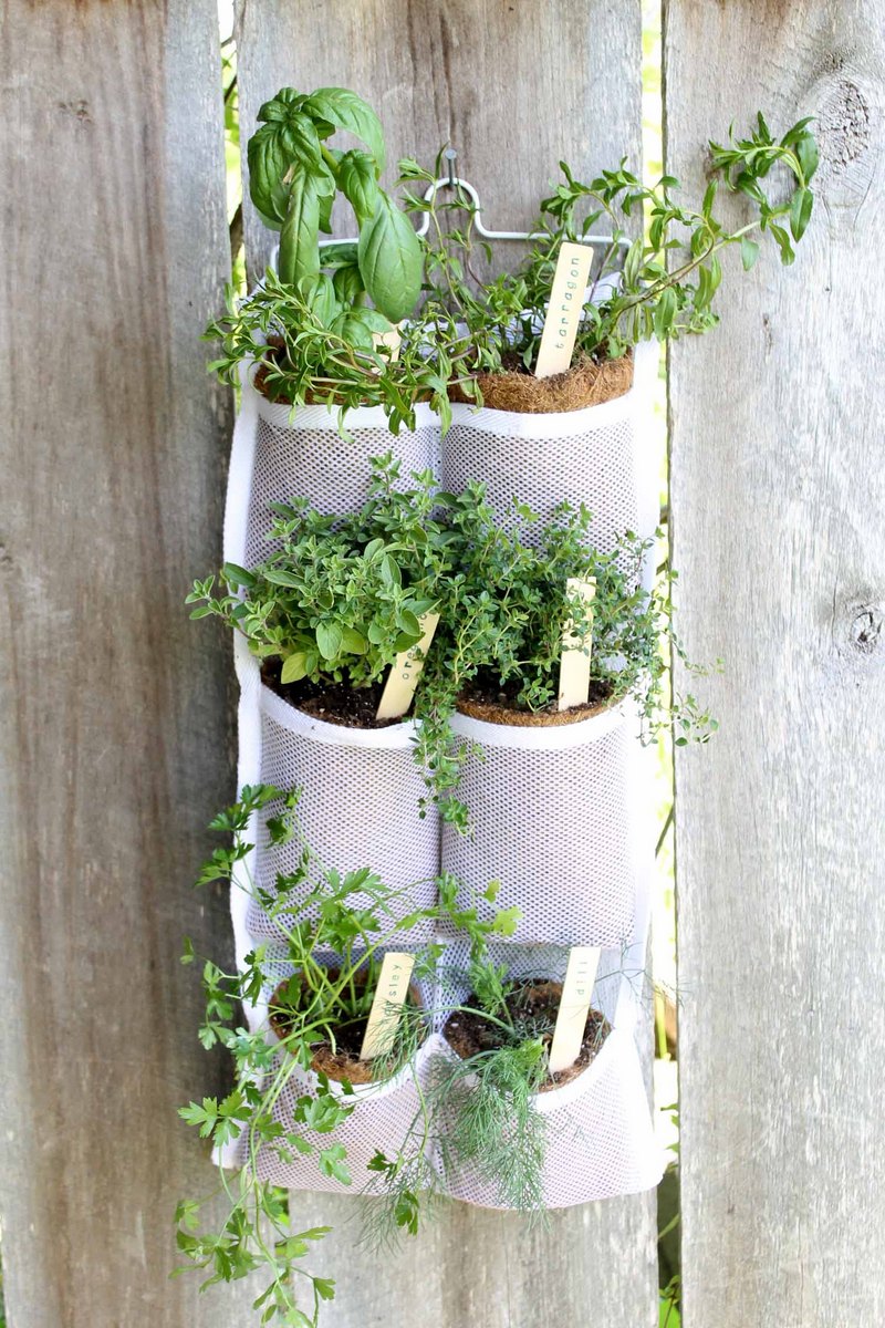 Make your own hanging herb garden with a hanging organizer. Quick, easy, and oh so pretty! Perfect for small spaces! #herbs #herbgarden #summer