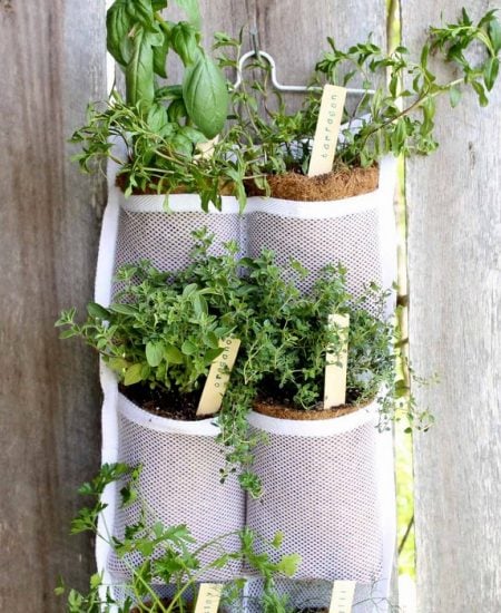 Make your own hanging herb garden with a hanging organizer. Quick, easy, and oh so pretty! Perfect for small spaces! #herbs #herbgarden #summer