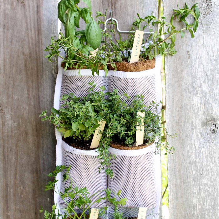 hanging herb garden