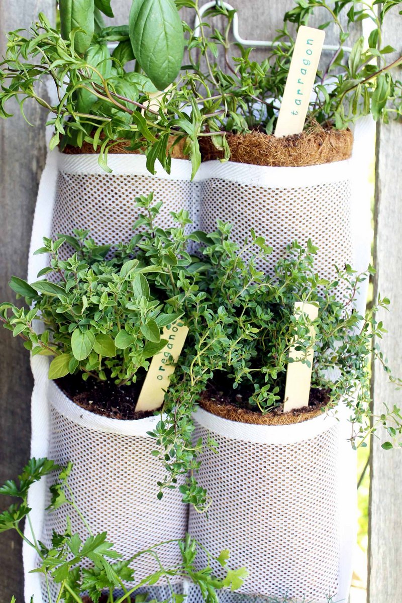 hanging herb garden on fence