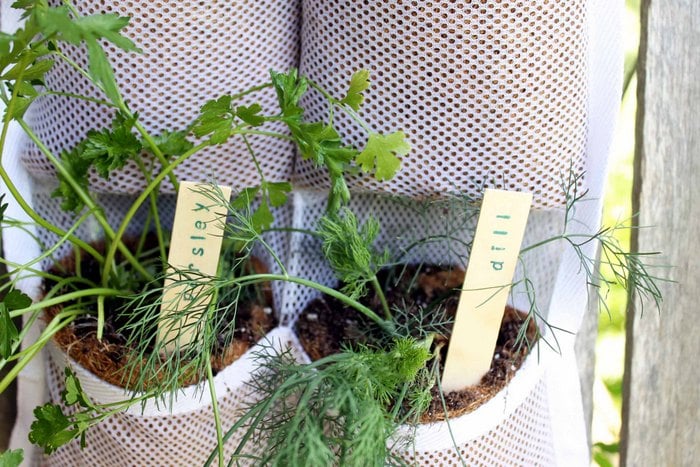 herb garden labels