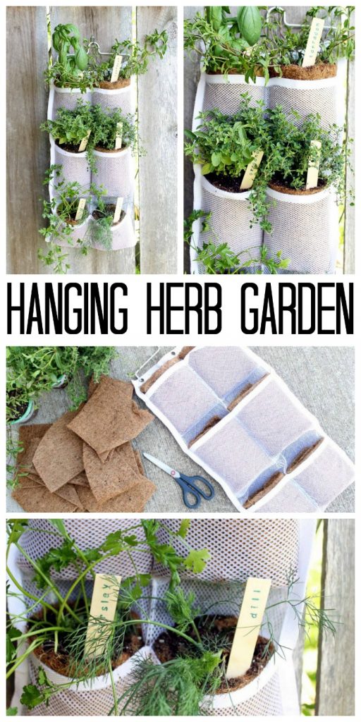 Make your own hanging herb garden with a hanging organizer. Quick, easy, and oh so pretty! Perfect for small spaces! #herbs #herbgarden #summer