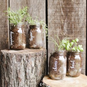 mason jar planters