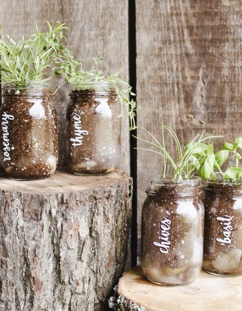 mason jar planters