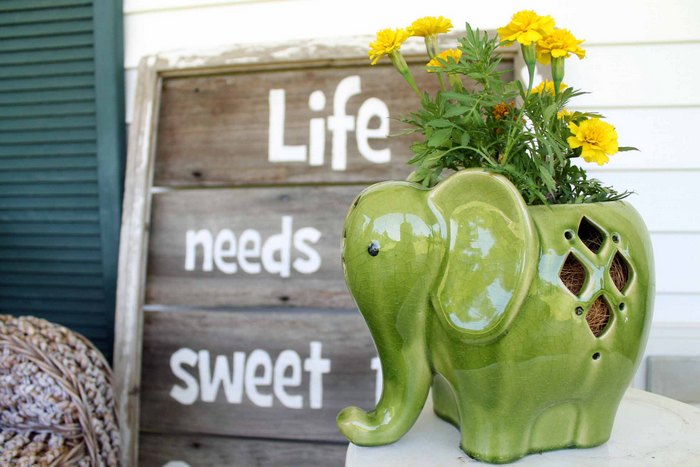 marigolds planted in an elephant planter