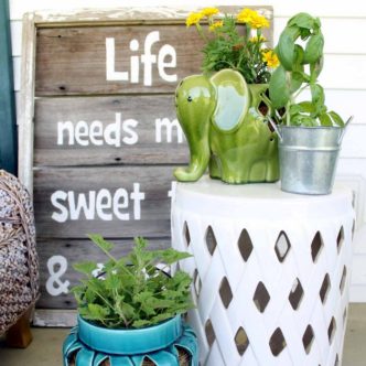 Add these natural mosquito repellent plants to your home and garden this summer! Who doesn't want to repel bugs naturally with their landscape choices?
