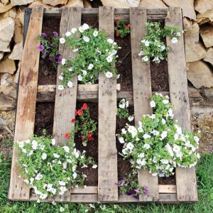 pallet with flowers planted inside