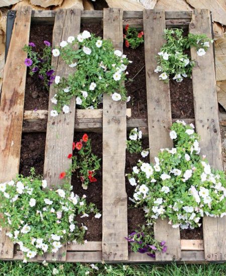 pallet with flowers planted inside